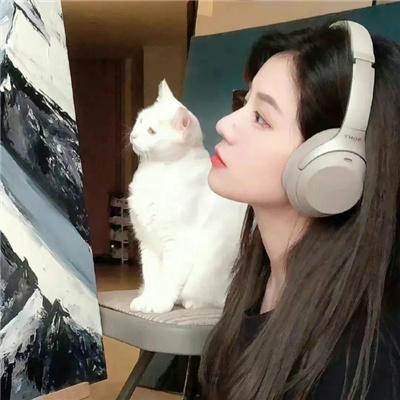 名校风暴第八季