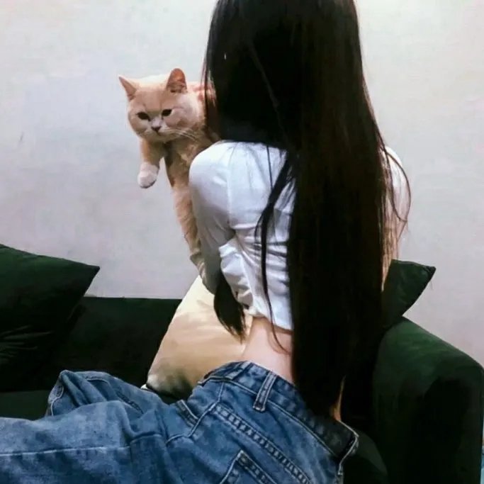 猫咪心动奇迹